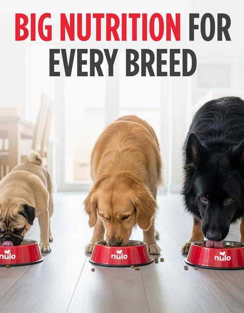 Load image into Gallery viewer, Adult Dog Food: Grain Free, All Natural Dry Pet Kibble for Large and Small Breed Dogs - Lamb, Salmon, or Turkey Recipe
