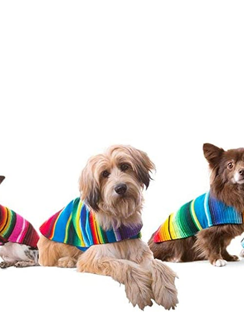 Load image into Gallery viewer, Handmade Dog Poncho from Mexican Serape Blanket - Southwestern and Tie Dye Dog Clothes - Coat - Costume - Sweater - Vest
