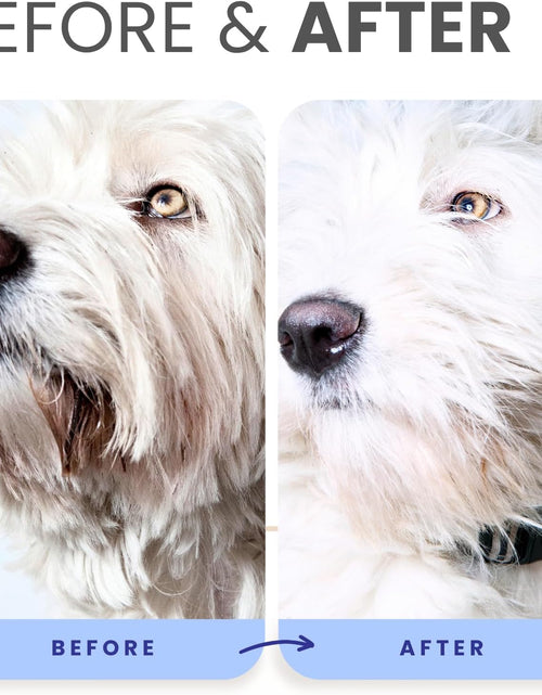 Load image into Gallery viewer, Berry Blue Brightening Face and Body Wash for Dogs - Blueberry Shampoo - Remove Tear Stains, Hydrate Dry Itchy Skin, Add Shine &amp; Luster to Coats (Berry Blue Shampoo Gallon/Pump)
