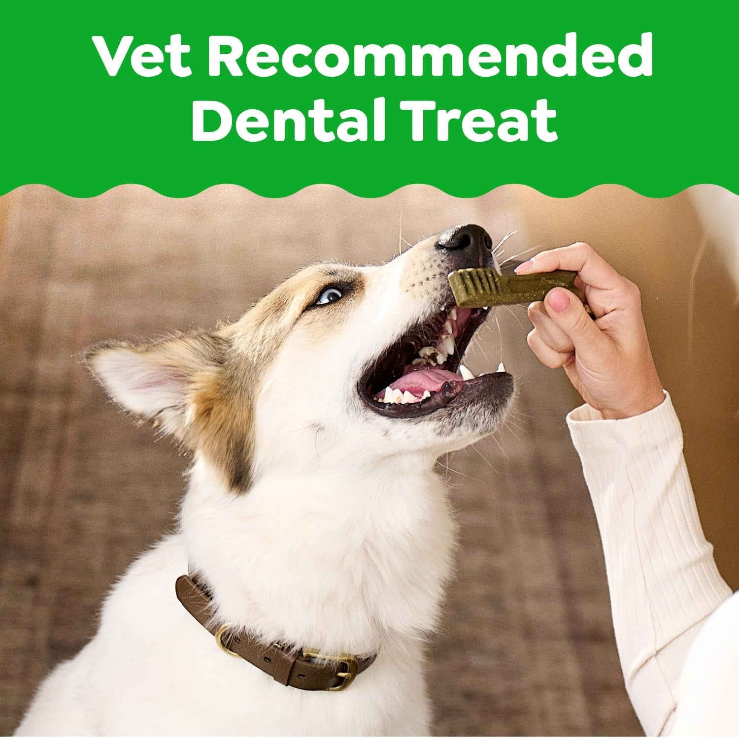 Original Petite Natural Dog Dental Care Chews Oral Health Dog Treats, 36 Ounce Pack (60 Treats)