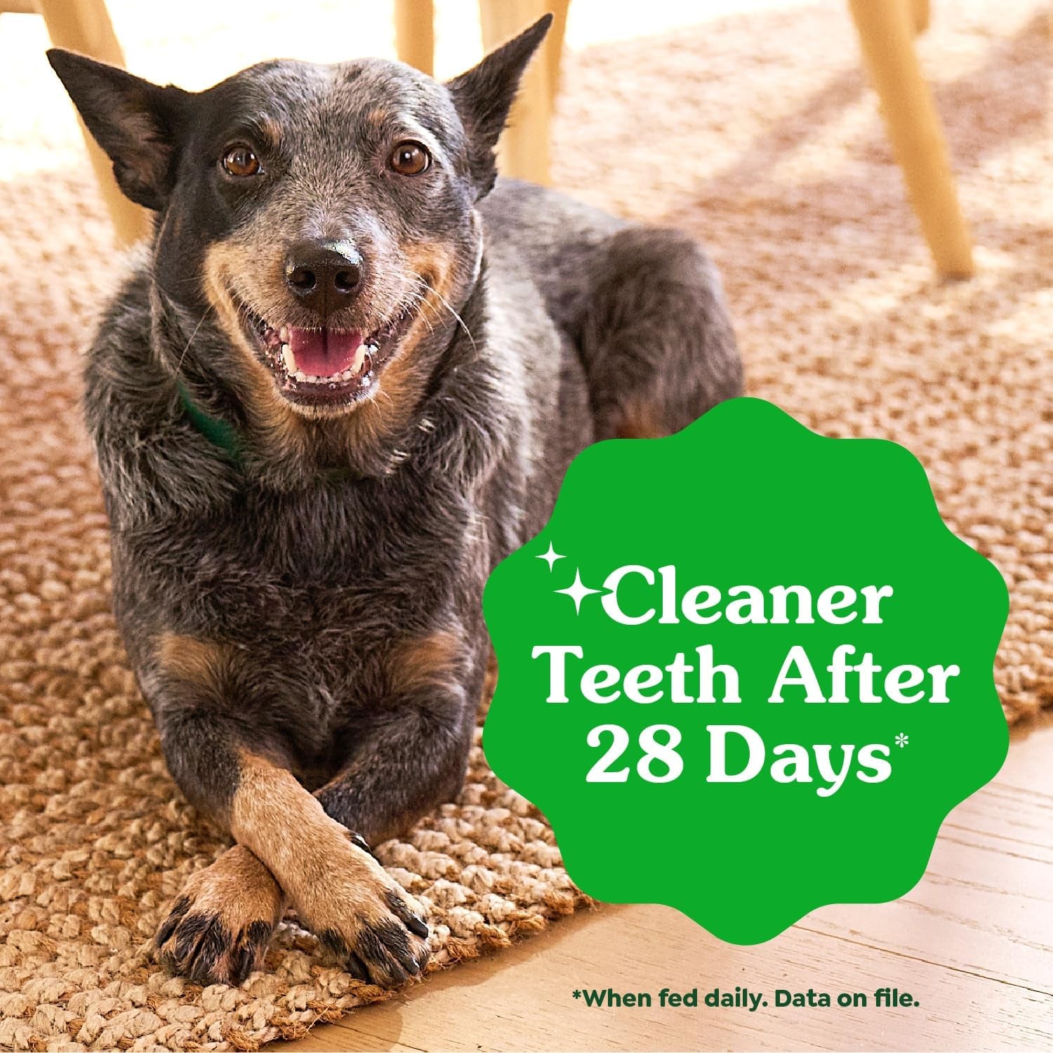 Original Petite Natural Dog Dental Care Chews Oral Health Dog Treats, 36 Ounce Pack (60 Treats)