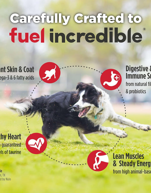 Load image into Gallery viewer, Adult Dog Food: Grain Free, All Natural Dry Pet Kibble for Large and Small Breed Dogs - Lamb, Salmon, or Turkey Recipe
