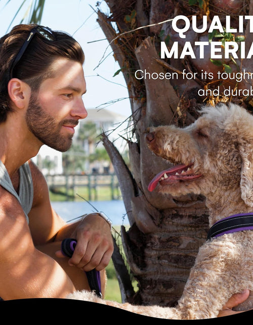 Load image into Gallery viewer, - the Comfort Collar Ultra Soft Neoprene Padded Dog Collar for All Breeds - Heavy Duty Adjustable Reflective Weatherproof (Medium, Purple/Bl)
