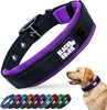 Purple/Black