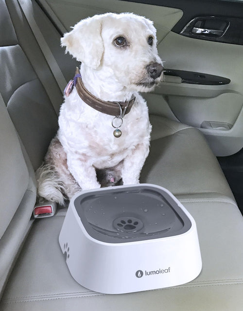 Load image into Gallery viewer, Dog Water Bowl, Dog Bowl No-Spill Pet Water Bowl 35Oz, Slow Water Feeder Dog Bowl, Vehicle Carried Dog Water Bowl for Dogs/Cats/Pets
