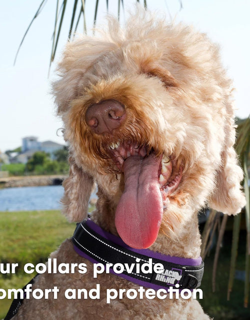 Load image into Gallery viewer, - the Comfort Collar Ultra Soft Neoprene Padded Dog Collar for All Breeds - Heavy Duty Adjustable Reflective Weatherproof (Medium, Purple/Bl)
