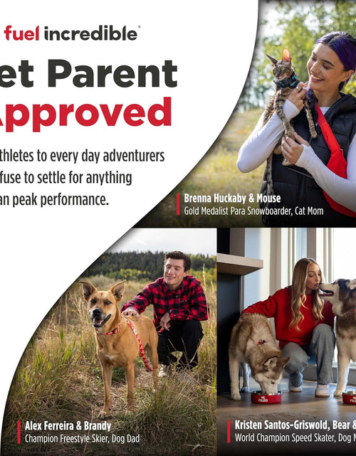 Load image into Gallery viewer, Adult Dog Food: Grain Free, All Natural Dry Pet Kibble for Large and Small Breed Dogs - Lamb, Salmon, or Turkey Recipe
