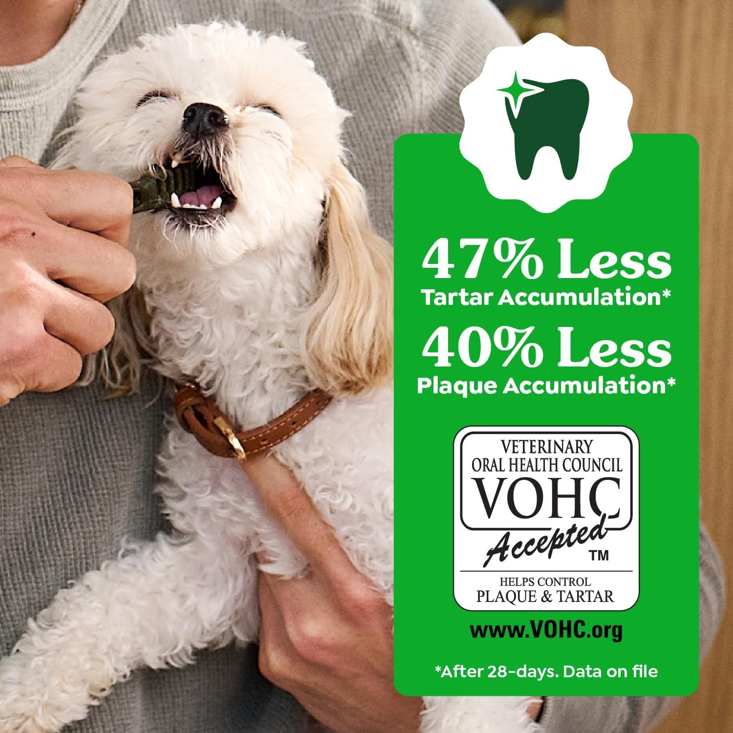 Original Petite Natural Dog Dental Care Chews Oral Health Dog Treats, 36 Ounce Pack (60 Treats)